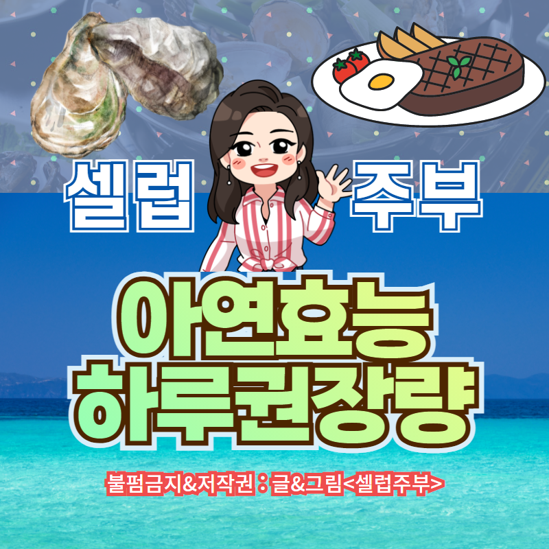 아연효능 음식 5가지