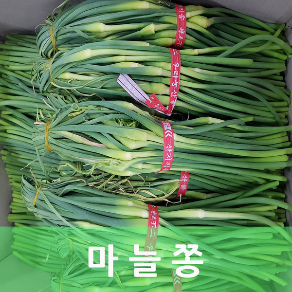 가성비갑 국내산 햇 마늘쫑 10단 (500g x 10단) 발품장터 ···