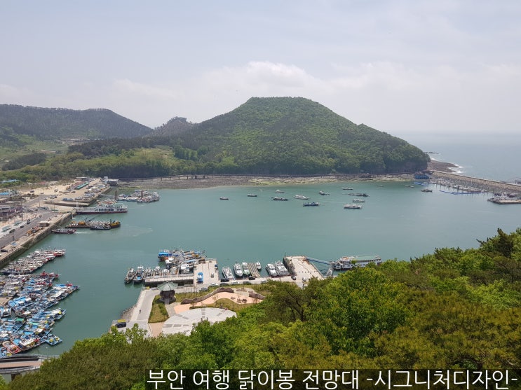 부안 여행 변산반도 채석강 가볼 만한 곳 닭이봉 전망대 경치 좋은 곳 주차비 입장료 없음