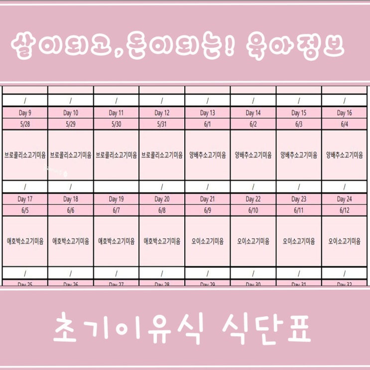  초기이유식 식단표 짜기! 엑셀 파일 공유해요.