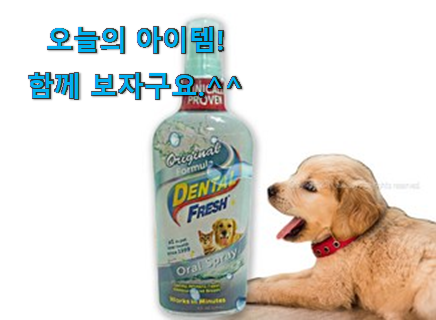 선물하고픈 반려견 치석 제거제 good 물건 선물로도 좋을거같네요 선물하고픈 반려견 치석 제거제 good 물건 선물로도 좋을거같네요