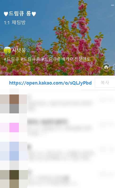  드림큐 롱 , 나이 상관없이 누구나 가능한 부업