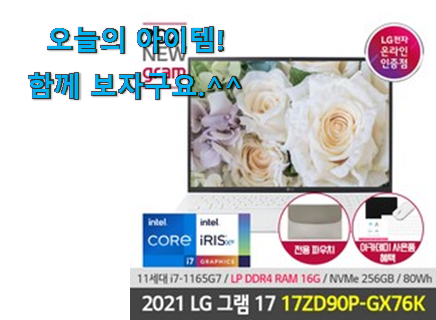 센스있는 lg 노트북 그램 17인치 i7 아이템 참 맘에드는군요 센스있는 lg 노트북 그램 17인치 i7 아이템 참 맘에드는군요