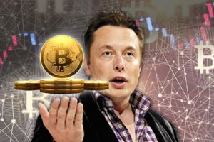  도지코인 대량매입 정황 드러난 일론 머스크. . . . . .?머스크의 사기극인가?