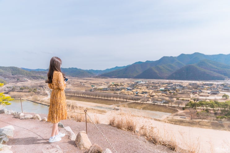  안동 하회마을과 부용대 알고 가면 좋은 팁! (입장료, 전동차)