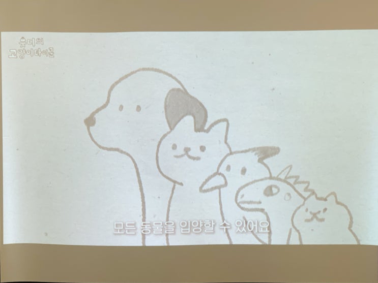  카페에 분위기 좋게 할려고 빔프로젝터 스크린 인테리어 시도