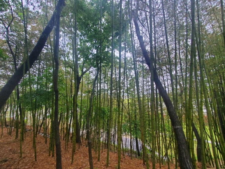  군산 가볼만한곳 힐링 갤러리 카페 공감선유