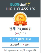  블로그 마스터가 되고 싶어 블로그차트에서 내블로그 순위 확인