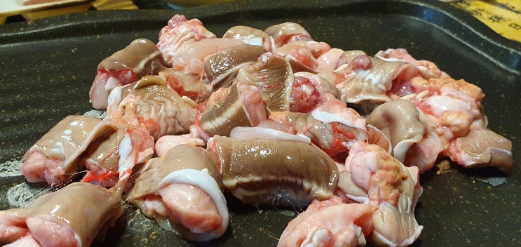  제주시 장어,산꼼장어구이 맛집 제주통큰장어 방문 후기~