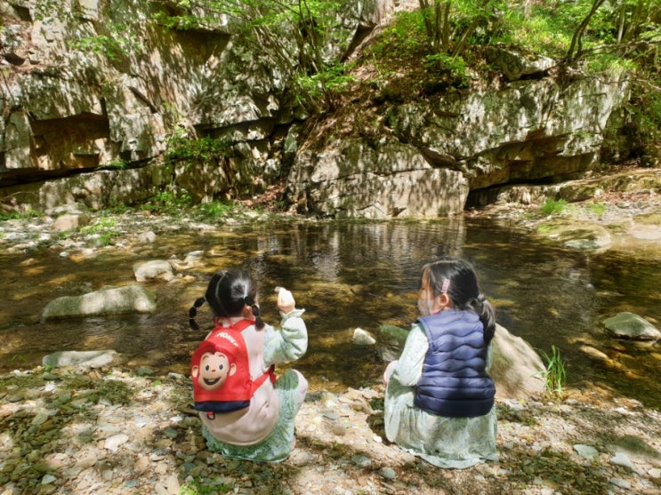  [강원도 정선 화암약수터] 아이들과 계곡 산책 및 거북바위 등산 (화암약수 야영장, 캠핑장, 카라반)