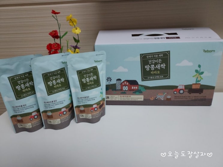  식물성 단백질 음료 "안개가 키운 건강이든 땅콩새싹 카카오"