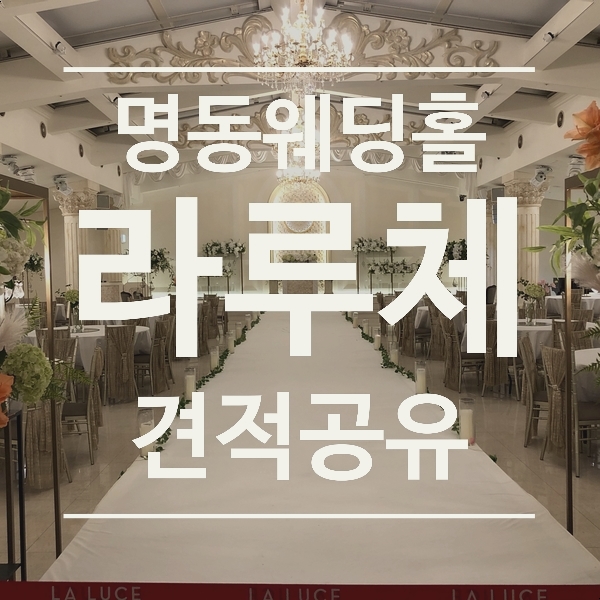  [견적공유] 명동 웨딩홀 <명동 라루체> - 21년 하반기 견적공유