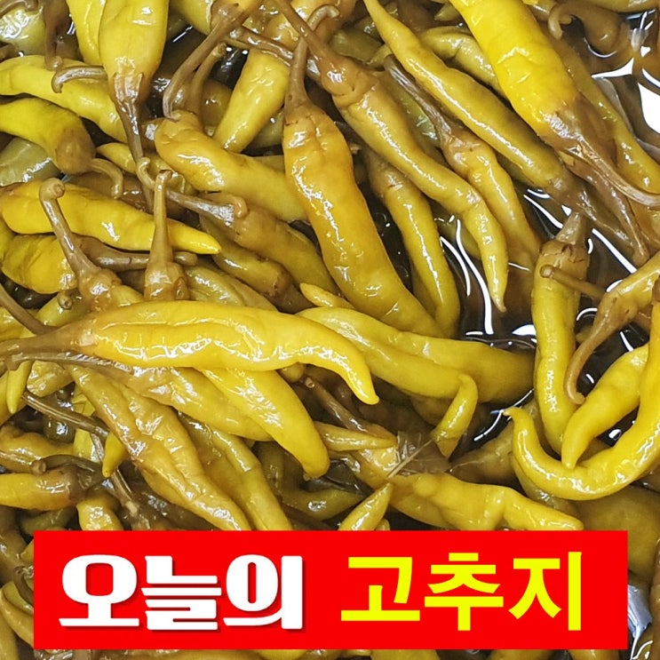 잘팔리는 건영푸드 염장 고추지 1kg 동치미 김장 무침 누구나 좋아하는 이 맛, 1봉 좋아요