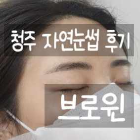  청주자연눈썹 브로윈 문신 종류 기법