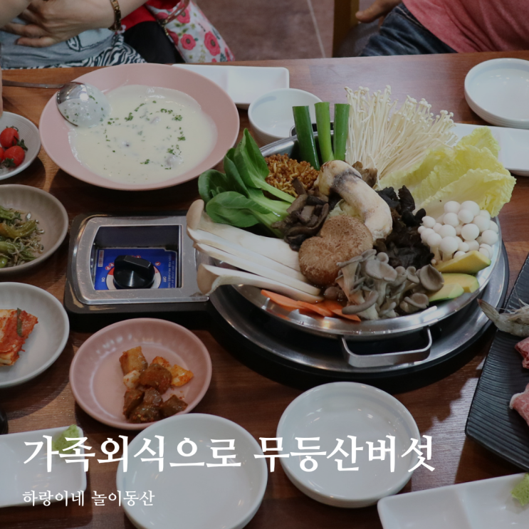  광주 버섯전골 운림동 맛집 무등산 버섯에서 가족외식