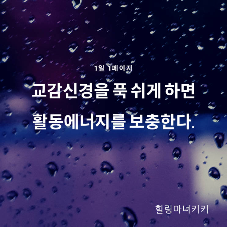  1일 1페이지 ㅡ 56일 숙면이 필요한 이유 /교감신경 부교감신경