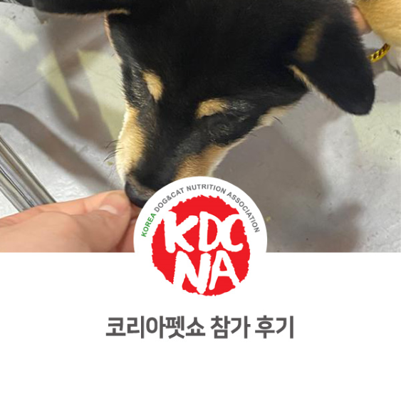  [한국반려동물영양협회/수원/펫푸드자격증/최수연펫푸드아카데미/군포/안산/남양주] 4월 양재 코리아펫쇼 행사 참가 후기_792