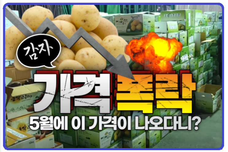  감자 가격이 머선 129?