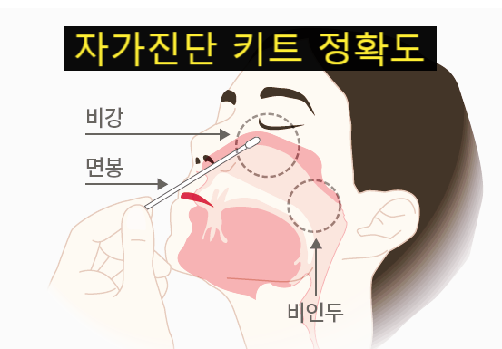  코로나 자가진단 키트 정확도, 사용법, 가격, 판매처 궁금하시나요