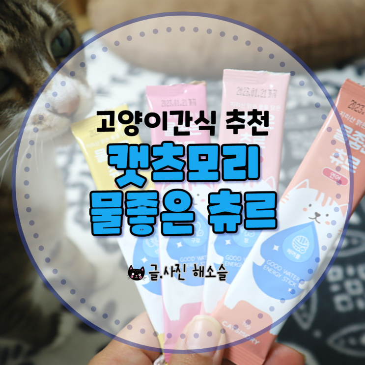  고양이간식 추천 : 지리산 맑은 물로 만든 캣츠모리 물좋은 츄르