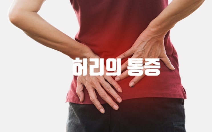  [대구맞춤깔창] 허리의 통증에 도움을 주는 인솔