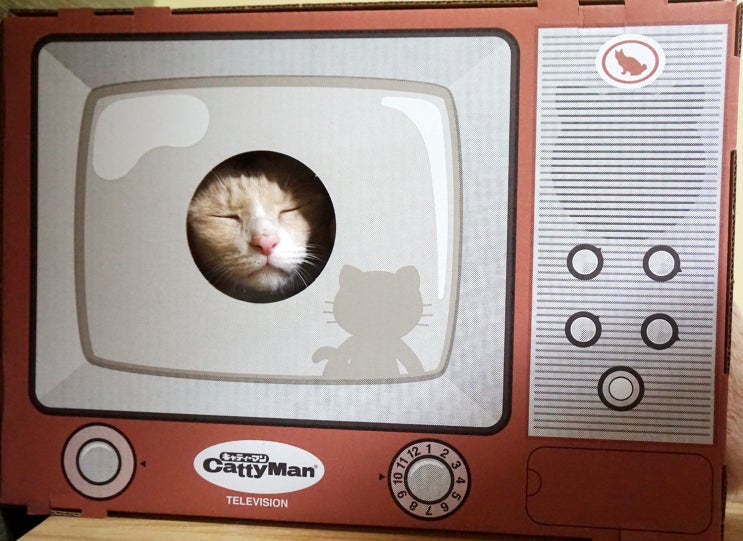  고양이 숨숨집 스크래쳐 TV