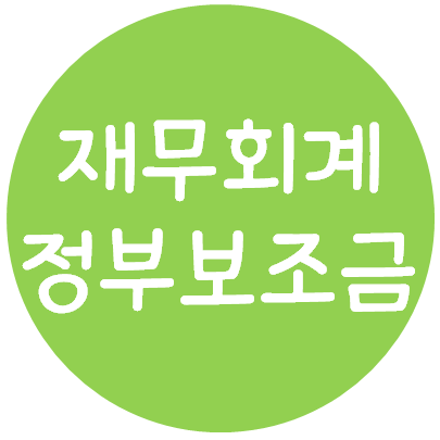  재무회계 - 정부보조금(의의, 최초인식, 자산관련보조금, 수익관련보조금, 비화폐성보조금)