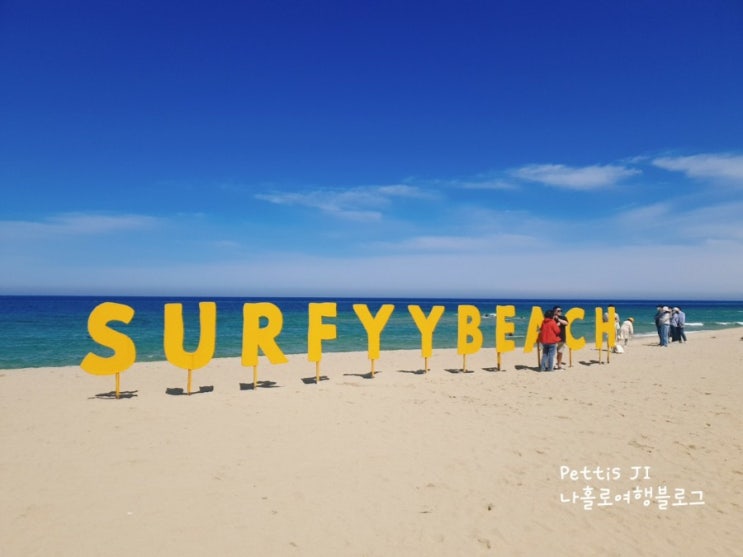 양양 서피비치 Surfy Beach