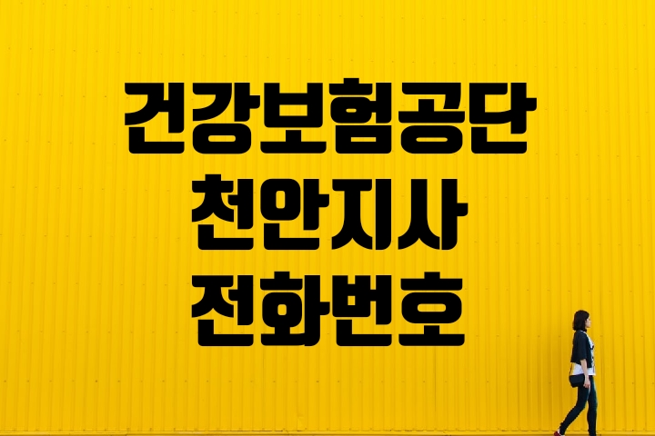  천안시 건강보험지사 전화번호
