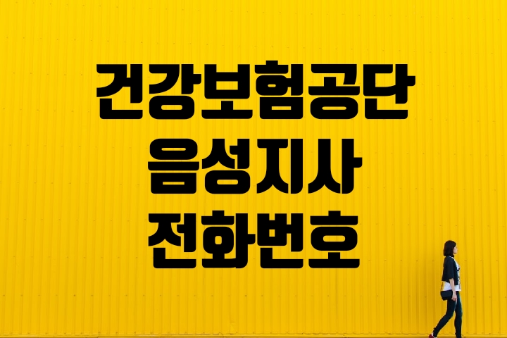 음성군 건강보험지사 전화번호
