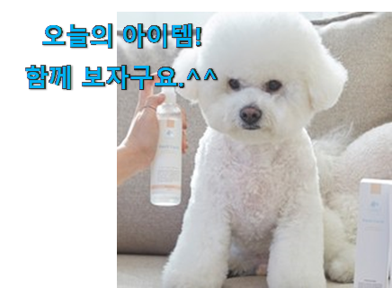 소유하고파 강아지 미스트 클릭 추천합니다! 소유하고파 강아지 미스트 클릭 추천합니다!