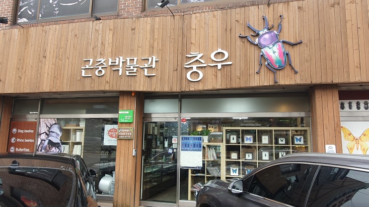  충우곤충박물관 다녀왔어요(주차, 관람료, 후기)
