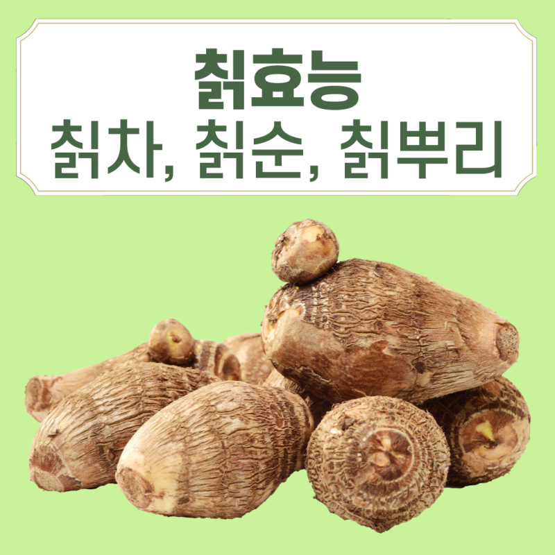 효능과 부작용이 궁금하다면