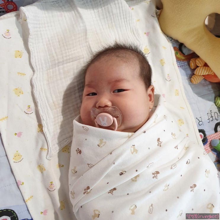 [parenting diary] 모유 수유하면 공갈젖꼭지를 안 문다?