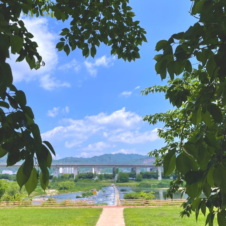  소만(小滿)