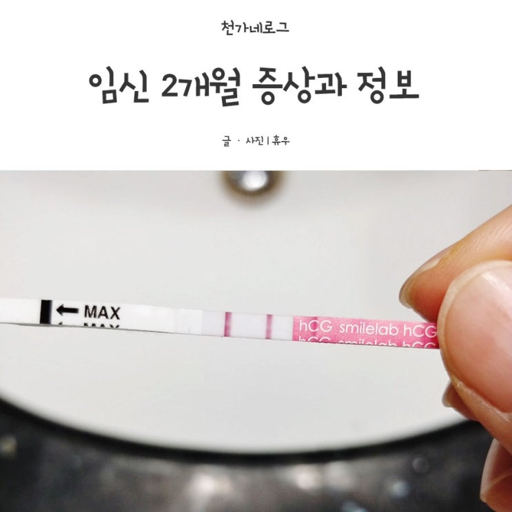  임신 2개월 증상과 정보
