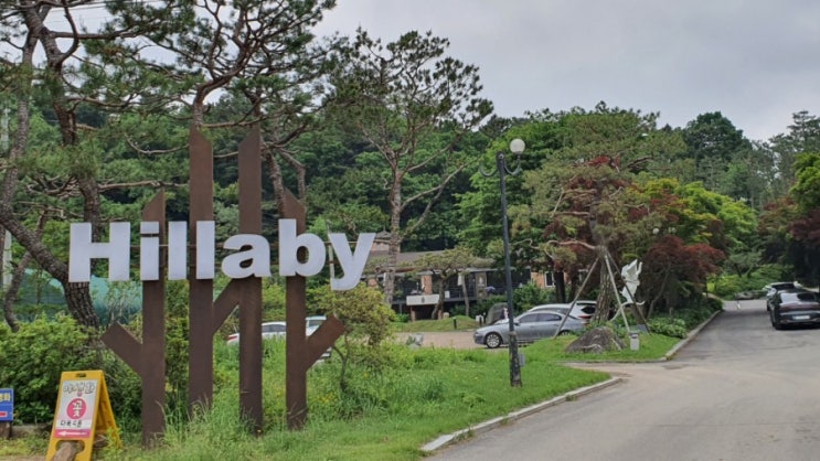  아침산책과 상추따기
