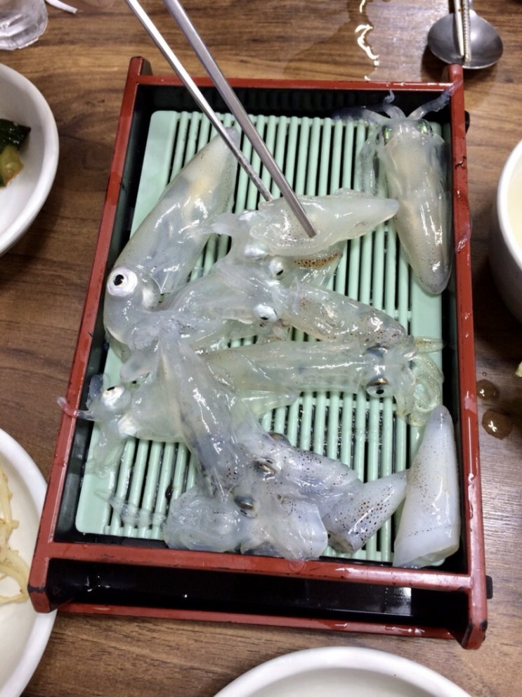 [1년 전 오늘] 경남 가볼만한곳 슬쌍디아빠 교단일기 FILE 006 / 부산거제통영 수학여행답사