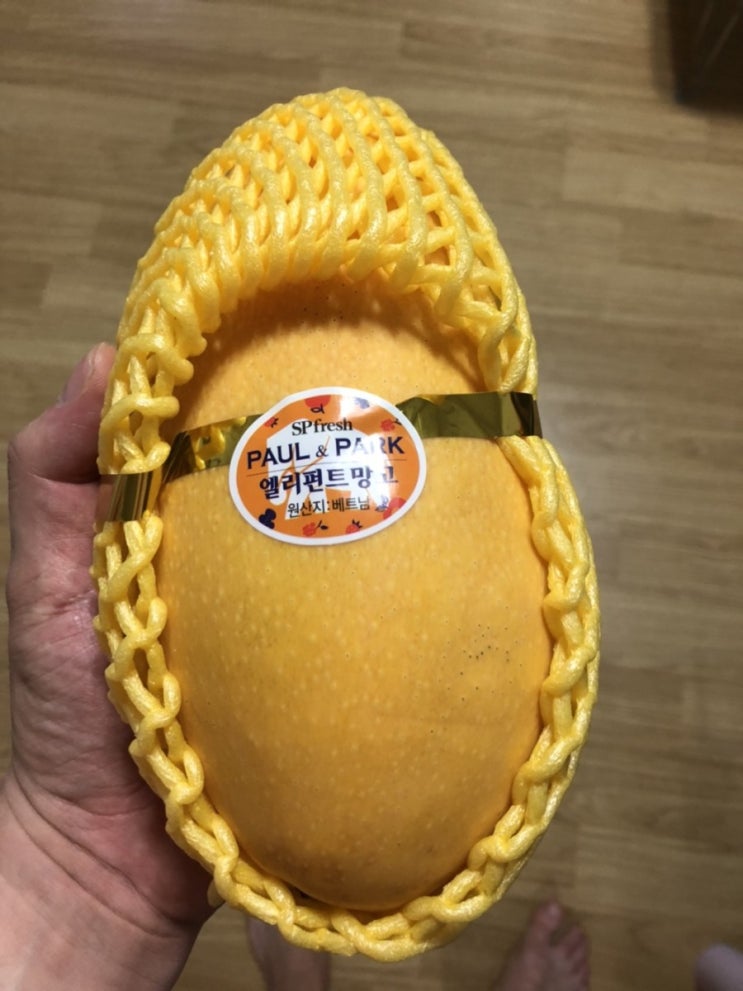  놀람 귀여움
