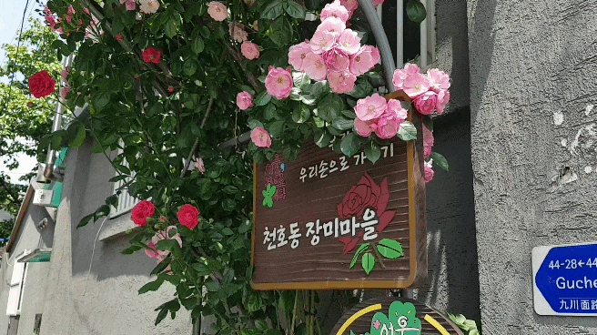  주말 서울 강동 송파 나들이 산책 가볼만한곳: 천호동 장미마을 좌표(feat.강풀 만화거리)
