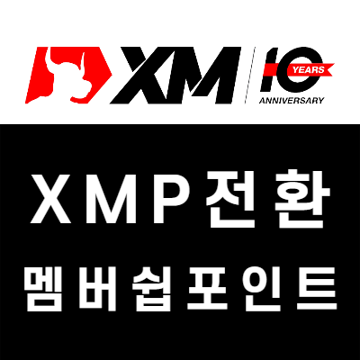 XM 멤버십 XMP 보너스 현금 전환 방법