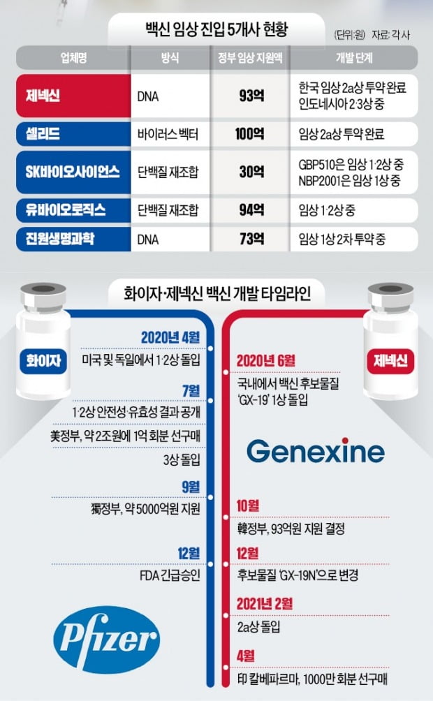 정부, K-백신 개발 지원 -- 말만 번지르르