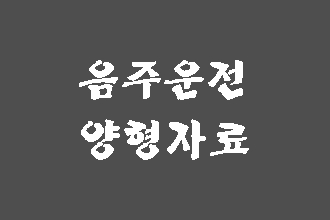  음주운전 양형자료 준비 ( 반성문 탄원서 )