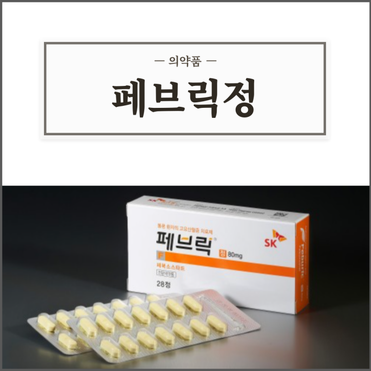 페브릭정 40mg/80mg, 효능효과/복용법/부작용/주의사항 등 간단정리