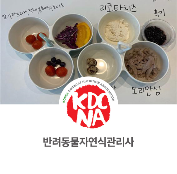  [한국반려동물영양협회/펫푸드자격증/반려동물영양사/전주/군산/애견수제간식창업/대전/대구/부산/거제] 실습 펫푸드 자연식관리사 자격증 과정_801