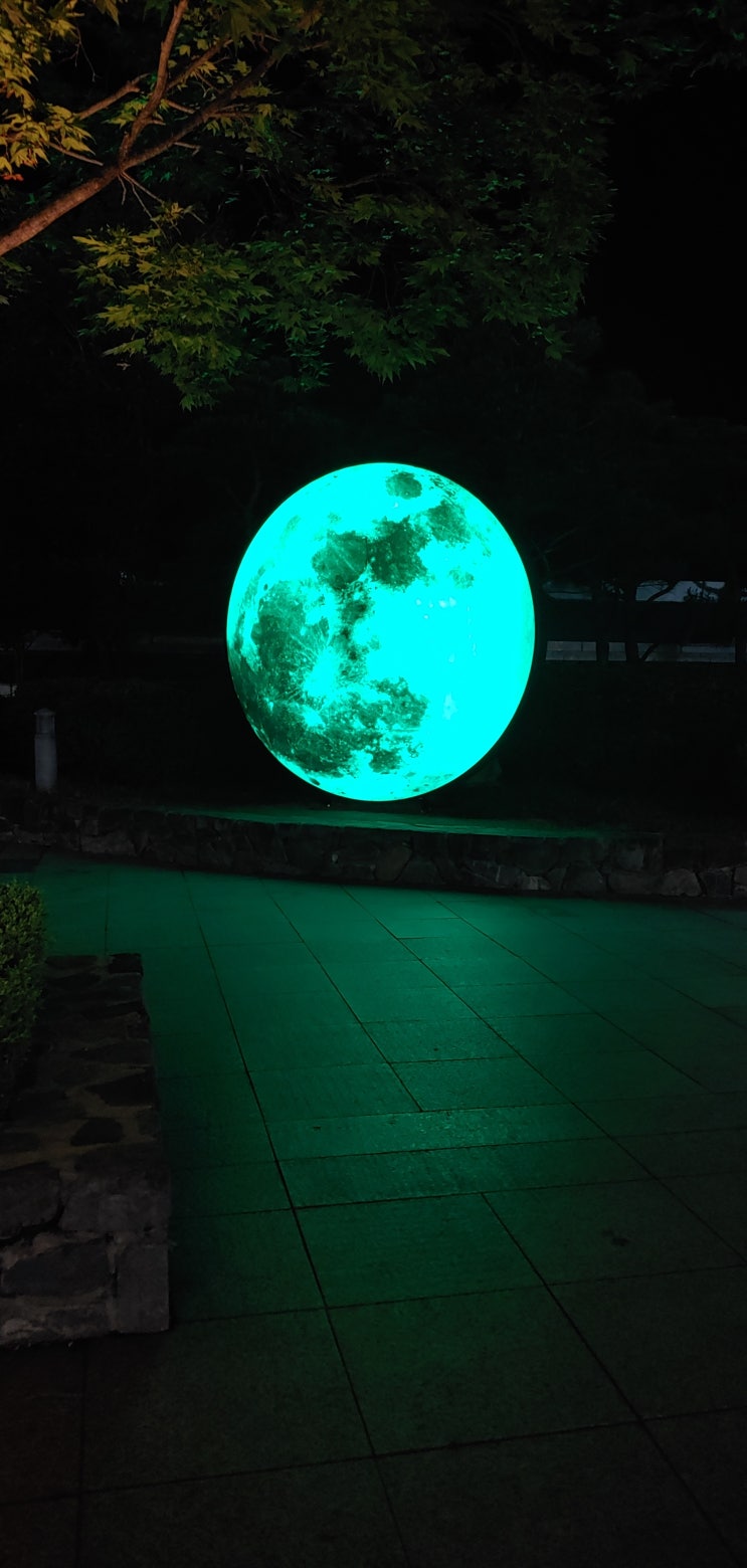  충북 단양 가볼 만한 곳 소노문 단양리조트