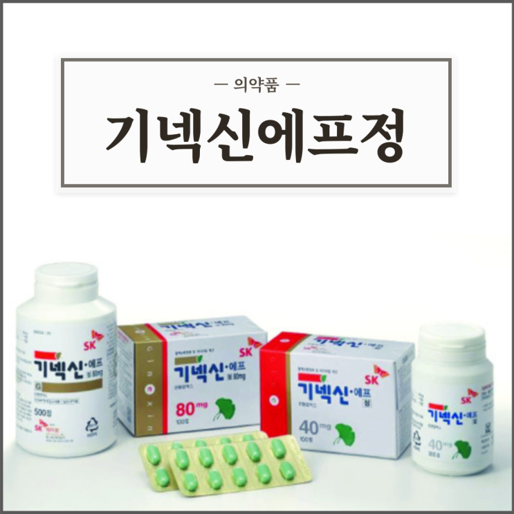  기넥신에프정 40mg/80mg, 효능효과/복용법/부작용/주의사항 등 간단정리