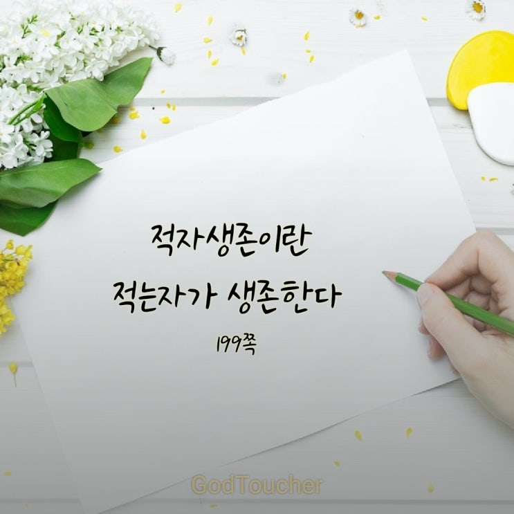 적자생존 적자생존