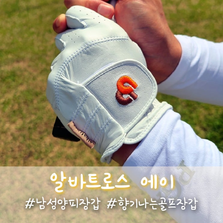  남성골프장갑, 향기나는 알바트로스에이 골프양피장갑