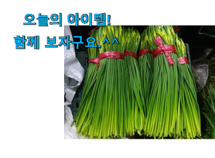 안사면 손해 남해 국산 마늘쫑 상품 후회 안할겁니다 ㅎㅎ 안사면 손해 남해 국산 마늘쫑 상품 후회 안할겁니다 ㅎㅎ